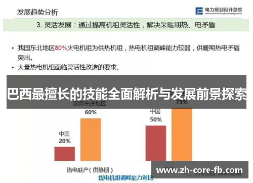 巴西最擅长的技能全面解析与发展前景探索 巴西最擅长的技能全面解析与发展前景探索