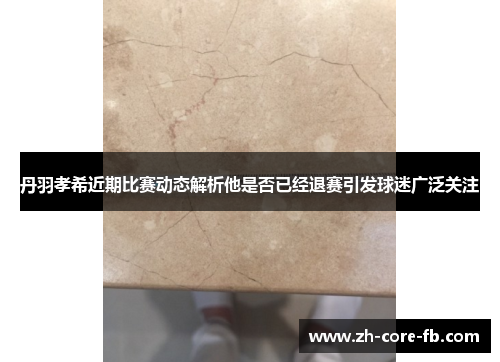 丹羽孝希近期比赛动态解析他是否已经退赛引发球迷广泛关注