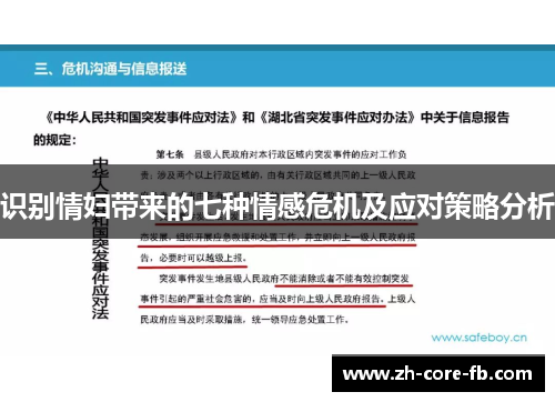 识别情妇带来的七种情感危机及应对策略分析 识别情妇带来的七种情感危机及应对策略分析