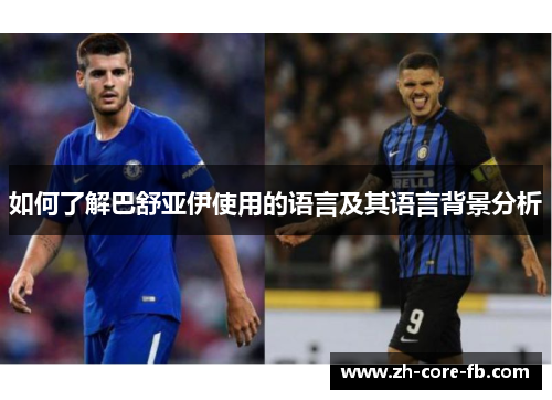 如何了解巴舒亚伊使用的语言及其语言背景分析