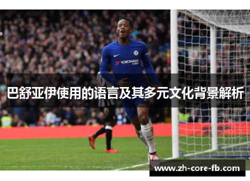 巴舒亚伊使用的语言及其多元文化背景解析