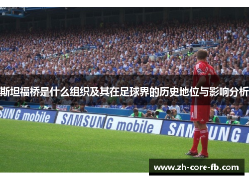 斯坦福桥是什么组织及其在足球界的历史地位与影响分析
