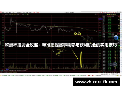 欧洲杯投资全攻略：精准把握赛事动态与获利机会的实用技巧