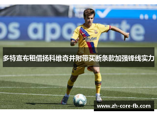 多特宣布租借扬科维奇并附带买断条款加强锋线实力 多特宣布租借扬科维奇并附带买断条款加强锋线实力