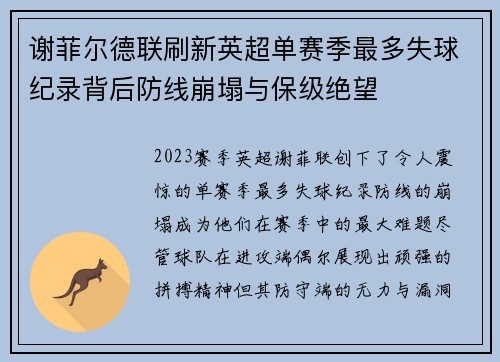 谢菲尔德联刷新英超单赛季最多失球纪录背后防线崩塌与保级绝望